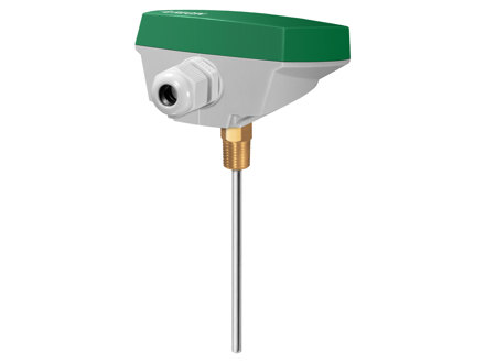 Immersion sensor with housing, without well, R1/4