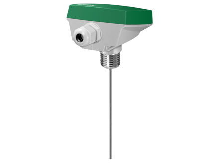 Immersion sensor with housing, without well, R1/2"