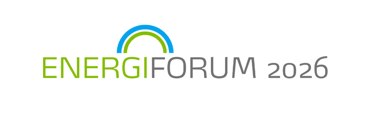 Et logo med en grøn og blå abstrakt form med teksten 'Naturgas' i grå.